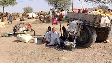 Same Day Pushkar Tour from Jaipur by Private Cab – Visit the Holy Town